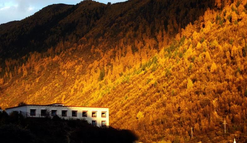 成都、四姑娘山、長坪溝3日自駕游